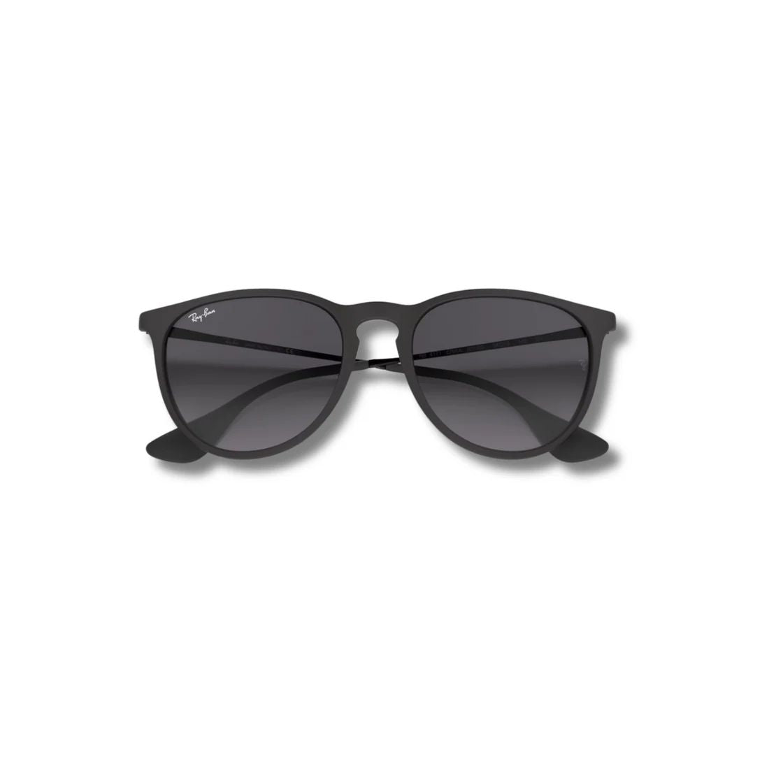 Lentes de Sol RB Erika Black