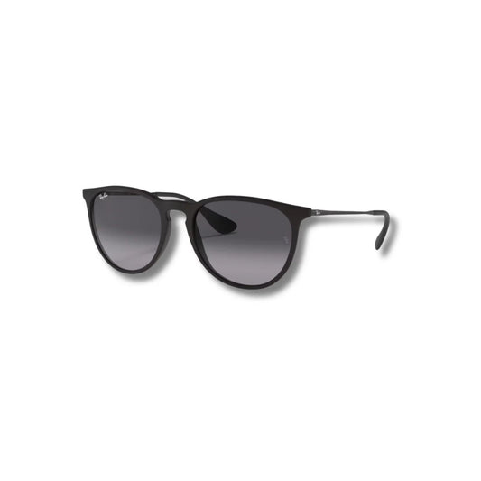 Lentes de Sol RB Erika Black