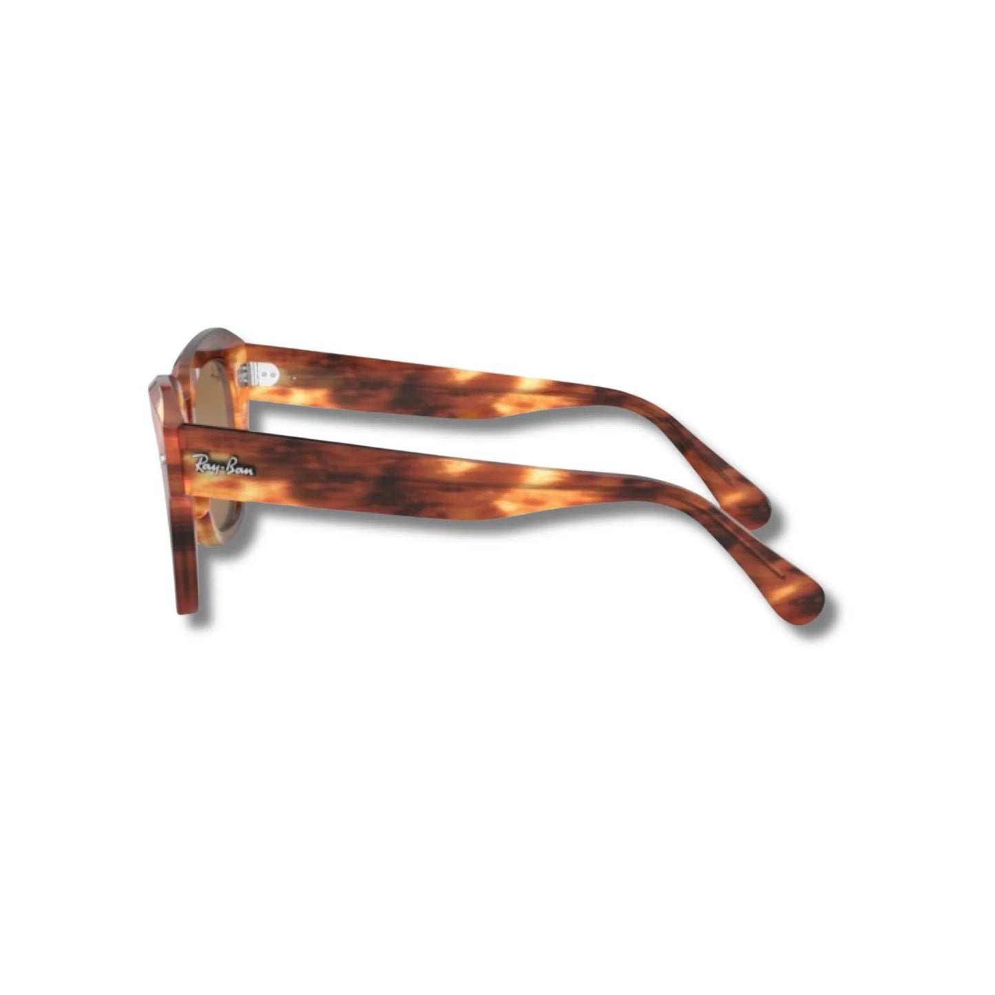 Lentes de Sol RB State Street Carey